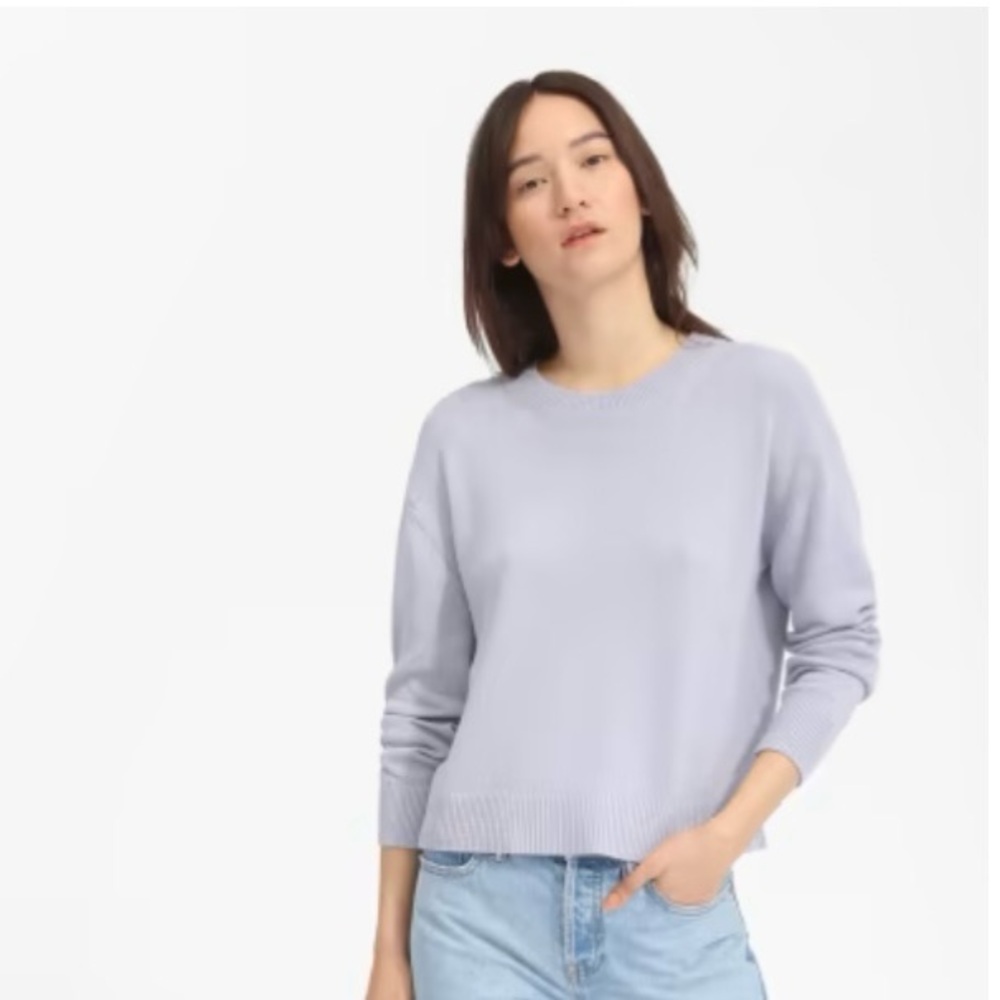 Everlane The Cotton Crew sweater Size X-small Color Lavender